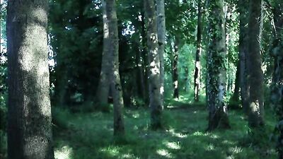 Our Fears: Gay Porn Movie