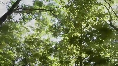 Down Low Desire: Action-Packed Gay Porn Adventure!