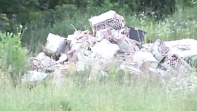 Passionate Summer Love - Part II: Gay Porn Video