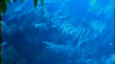 Gangbang with the Guest - Leave the Wife and Fuck the Guest!