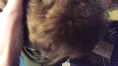 Friend blow gay teen sex