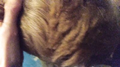 Friend blow gay teen sex