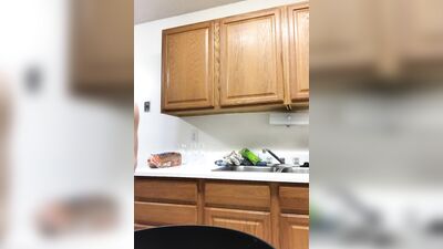 My Buddy Terry Kitchen Confidential for Zchampagne91