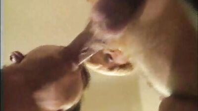 The Plumbers Bareback Cum Shots: Steamy Gay Porn Action!