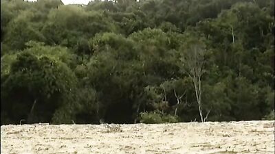 Gay Outdoor Love: Action-Packed Cum Shots with Latino Heat!