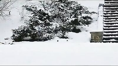 Winter is Over! ALAS!