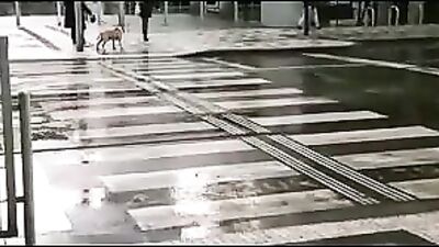 Exploring the Travel Office: A Bareback Adventure!