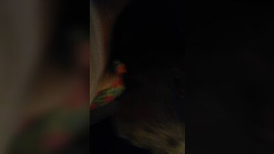 Gangbang Experiment: Revenge on the Straight Jocks