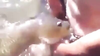 Cam 1060 lol - Gay Amateur Porn Fun!