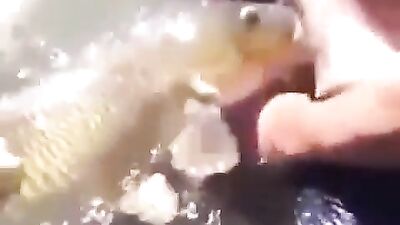 Cam 1060 lol - Gay Amateur Porn Fun!