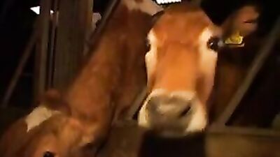 Gangbang Initiation: The Ultimate Threesome