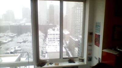 Young Manhattan Teenager Masturbates Explosively!