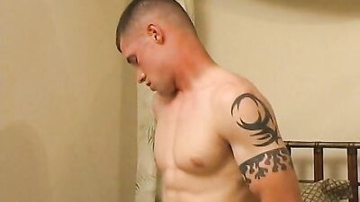 King Cole Splendid Darling