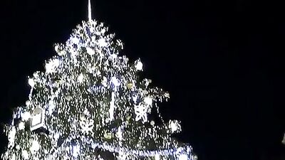 Bareback for Cash - Raw and Rough