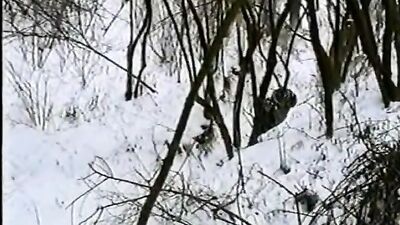 German Twinks Gangbang - Gero Extra 13