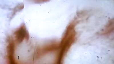 Oral Fixation: The White Fur Edition