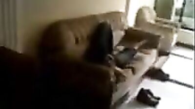 Solo Boys Ultimate Gay Porn Experience: Steaming Hot and Ready for Action!