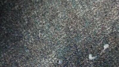 Young Cute Cam Black Shots