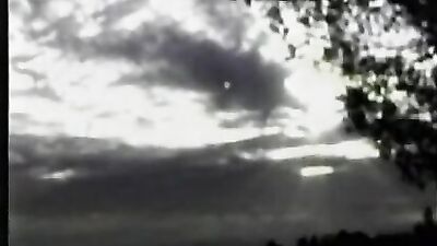 SexQuest Twink-a-thon 2: The Return of the Big Dicks