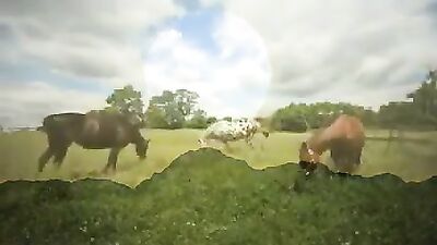 Unleashed Passion: Real Life Experience