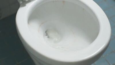 Gay Morning Fever: Age Anxiety and Sexual Identity in Short Film