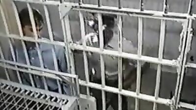 Heartbreak Behind Bars: Unleashed Desire