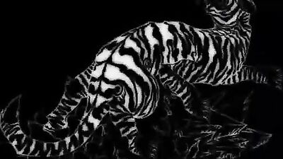 Bareback Player - Story - Stories about Kevin