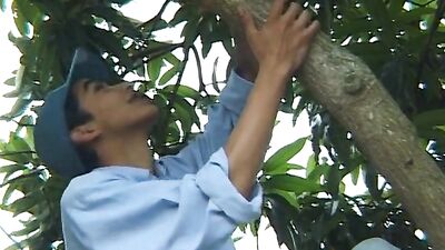 Latino Seduced in the Garden of Twinks - The Return!