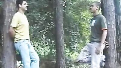 GAROTOS DE PROGRAMA : Action Oral Public Outdoor Sex