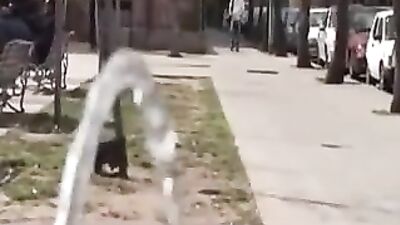 Bareback Twinks in The Kitchen