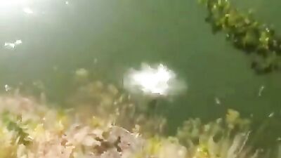 Gay Porn Weeeeee Experience - Solo Action!