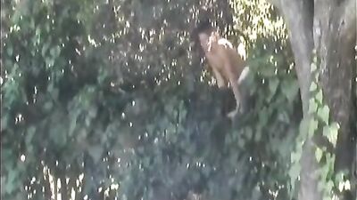 Sammy and Elijah Fucking