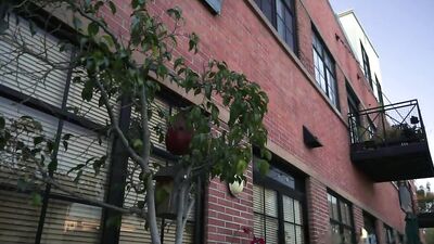 Hot & Steamy Love Making: The Ultimate Gay Porn Experience!