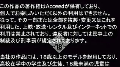 Asian Studs Teach Sex Lessons in Action Bareback Video!