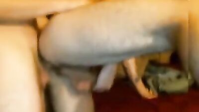 Gay Porn Couple in Bed - Action Amature Cum Shots