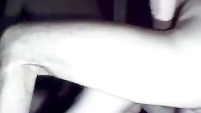 Gay Bind: No Strings Attached!