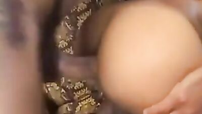 Latin Men Fucking in the Living Room - Action! Unleash your wildest desires with this hot Latin men porn video!