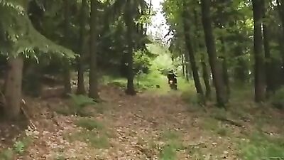 Wild Woodcucks: Action in the Forest!