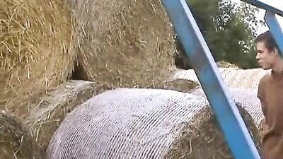 Bareback Thrills: Boys in Heat