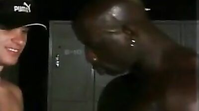 Step into Darkness: The Ultimate Black Stallion Experience