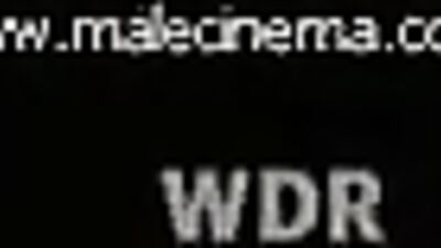 Shower Stallions: Public Bathroom Boys Compilation!