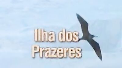 Gay Porn Video: Stylish & Seductive Desires Fulfilled!