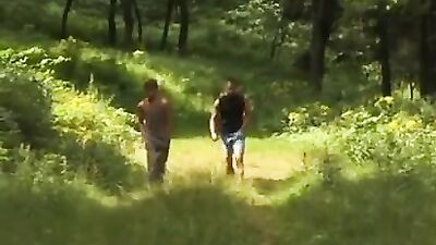 Woods Adventure - Action in the Wild