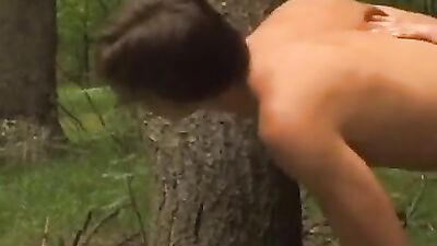 Woods Adventure - Action in the Wild