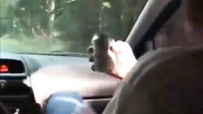 Hitchhikers Gratifying Gangbang - Action Bareback Group Sex