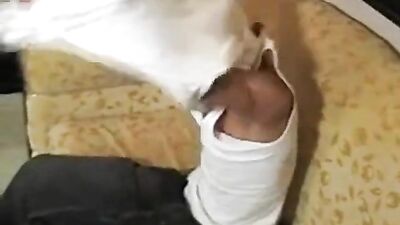 Gay Porn Outdoor Jerk Off!