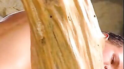 Out in the Garden - The Ultimate Action Adventure