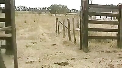 Heartthrobs in Leather: Ranch Hands Action!