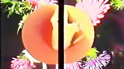 Young Captors Firm Cocks: Boy Ki*dnapping Vintage!