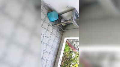 Asian Amateurs in Thailand: BKK Windows Suck the Sequel